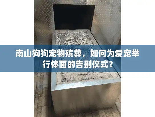 南山狗狗宠物殡葬，如何为爱宠举行体面的告别仪式？