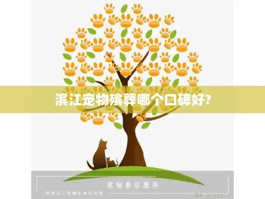 滨江宠物殡葬哪个口碑好?