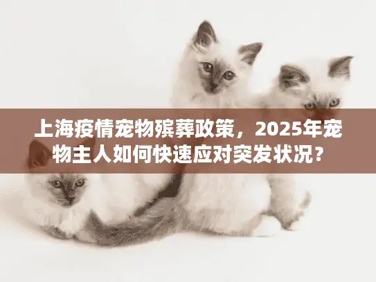 上海疫情宠物殡葬政策，2025年宠物主人如何快速应对突发状况？