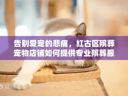 告别爱宠的悲痛，红古区殡葬宠物店铺如何提供专业殡葬服务？