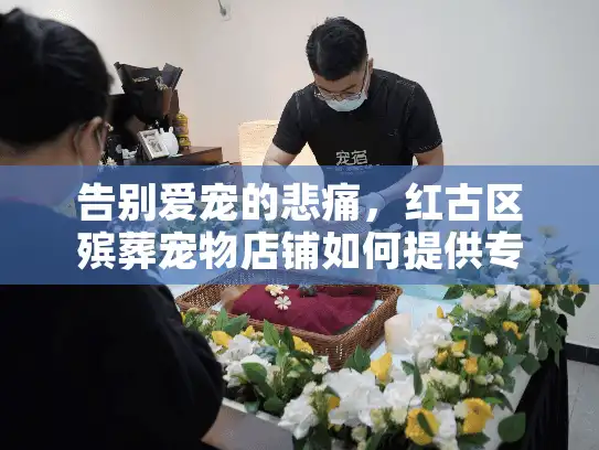 告别爱宠的悲痛，红古区殡葬宠物店铺如何提供专业殡葬服务？