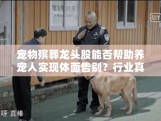 宠物殡葬龙头股能否帮助养宠人实现体面告别？行业真相解析