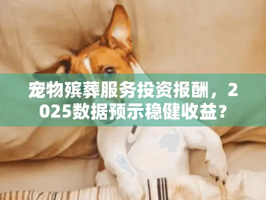 宠物殡葬服务投资报酬，2025数据预示稳健收益？