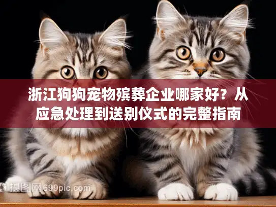 浙江狗狗宠物殡葬企业哪家好？从应急处理到送别仪式的完整指南