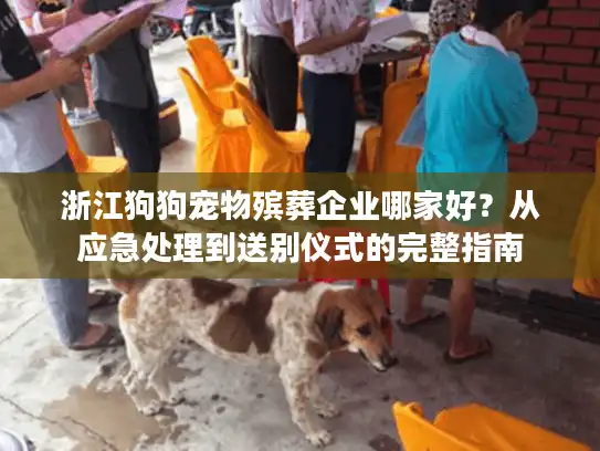 浙江狗狗宠物殡葬企业哪家好？从应急处理到送别仪式的完整指南