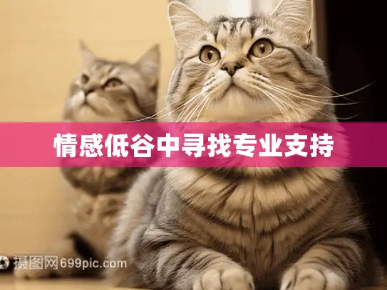 情感低谷中寻找专业支持