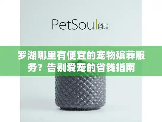 罗湖哪里有便宜的宠物殡葬服务？告别爱宠的省钱指南