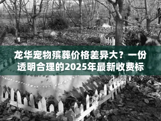 龙华宠物殡葬价格差异大？一份透明合理的2025年最新收费标准