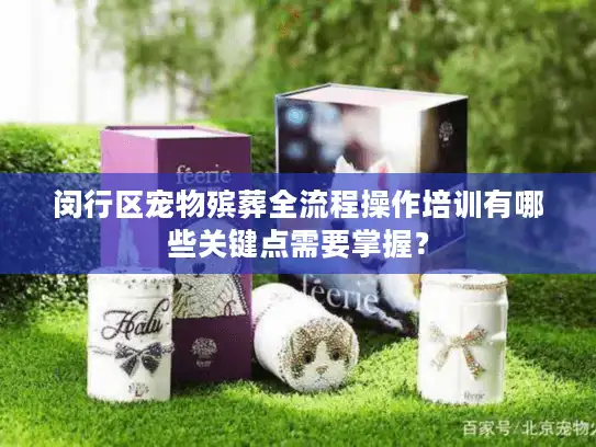 闵行区宠物殡葬全流程操作培训有哪些关键点需要掌握？