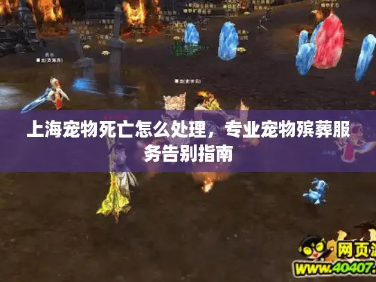 上海宠物死亡怎么处理，专业宠物殡葬服务告别指南