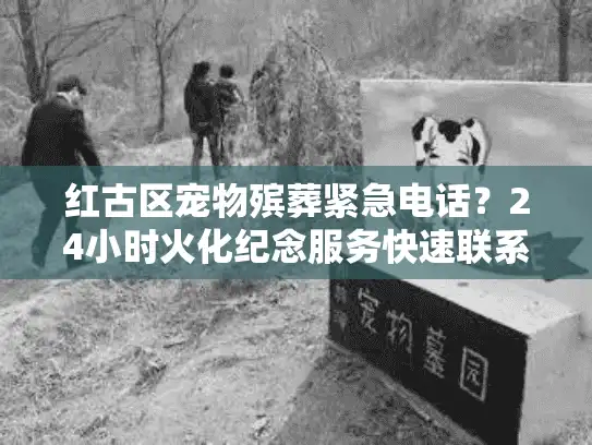 红古区宠物殡葬紧急电话？24小时火化纪念服务快速联系