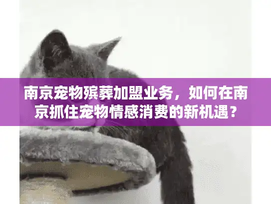 南京宠物殡葬加盟业务，如何在南京抓住宠物情感消费的新机遇？