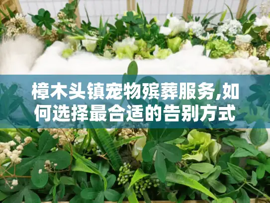 樟木头镇宠物殡葬服务,如何选择最合适的告别方式?
