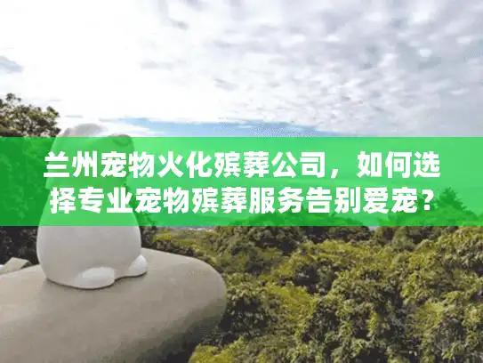 兰州宠物火化殡葬公司，如何选择专业宠物殡葬服务告别爱宠？