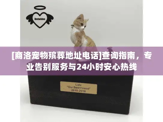 [商洛宠物殡葬地址电话]查询指南，专业告别服务与24小时安心热线