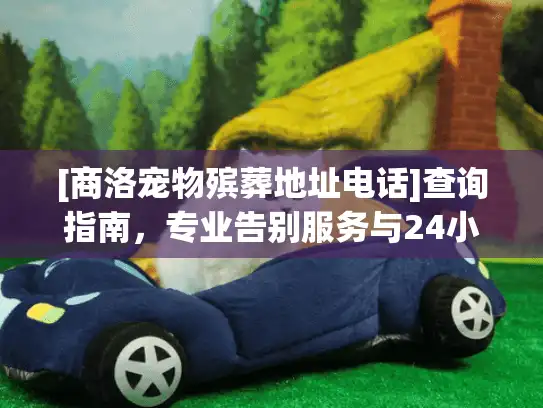 [商洛宠物殡葬地址电话]查询指南，专业告别服务与24小时安心热线
