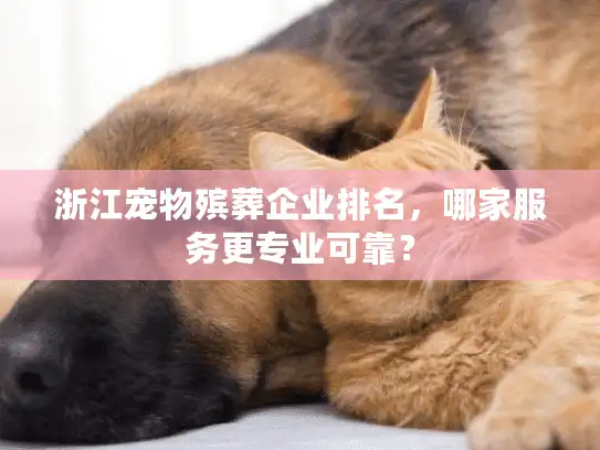 浙江宠物殡葬企业排名，哪家服务更专业可靠？