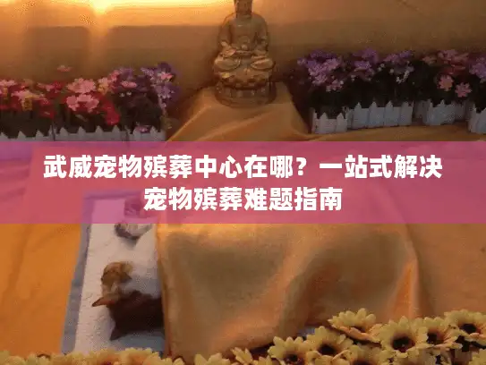 武威宠物殡葬中心在哪？一站式解决宠物殡葬难题指南