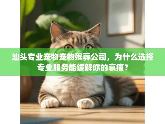 汕头专业宠物宠物殡葬公司，为什么选择专业服务能缓解你的哀痛？