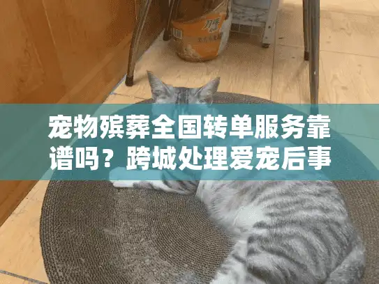 宠物殡葬全国转单服务靠谱吗？跨城处理爱宠后事的专业解决方案