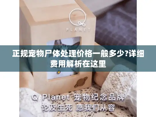 正规宠物尸体处理价格一般多少?详细费用解析在这里