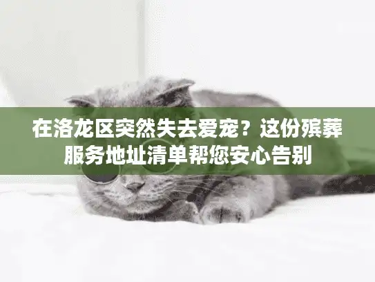 在洛龙区突然失去爱宠？这份殡葬服务地址清单帮您安心告别
