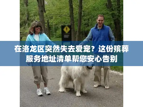 在洛龙区突然失去爱宠？这份殡葬服务地址清单帮您安心告别