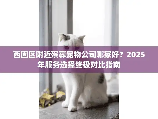 西固区附近殡葬宠物公司哪家好？2025年服务选择终极对比指南