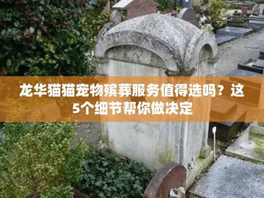 龙华猫猫宠物殡葬服务值得选吗？这5个细节帮你做决定