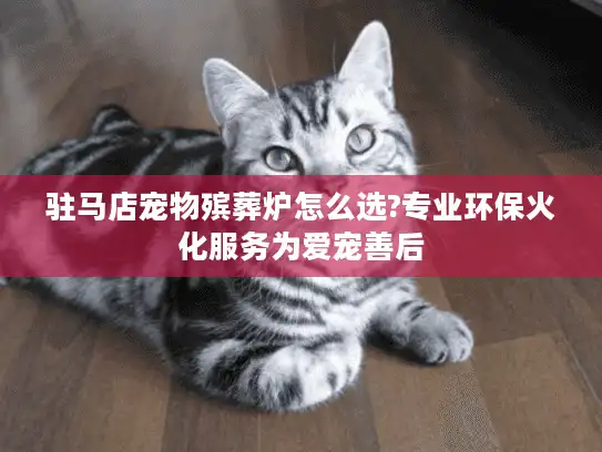 驻马店宠物殡葬炉怎么选?专业环保火化服务为爱宠善后