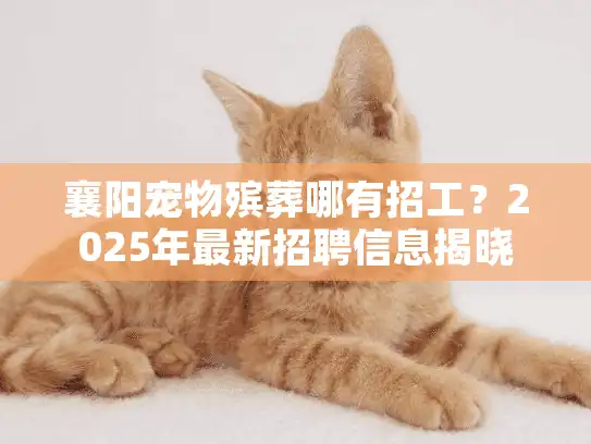 襄阳宠物殡葬哪有招工？2025年最新招聘信息揭晓