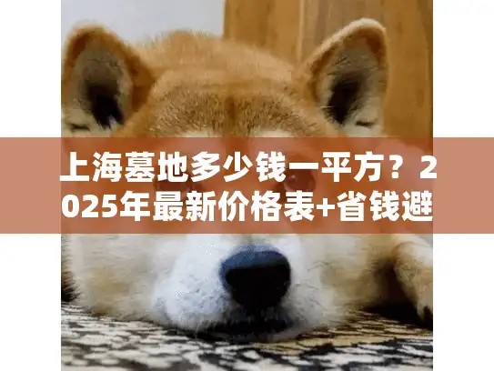 上海墓地多少钱一平方？2025年最新价格表+省钱避坑指南