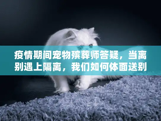 疫情期间宠物殡葬师答疑，当离别遇上隔离，我们如何体面送别毛孩子？