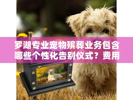 罗湖专业宠物殡葬业务包含哪些个性化告别仪式？费用透明吗？