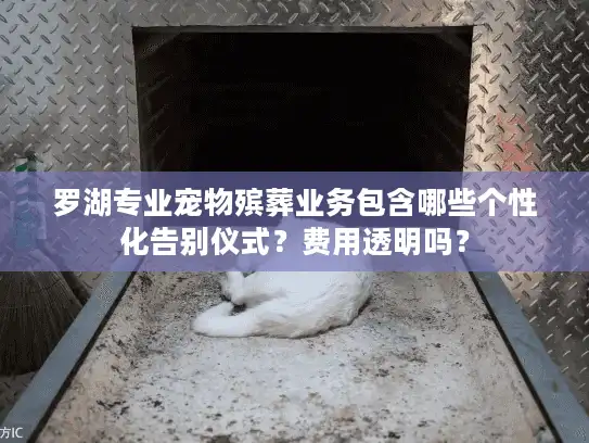 罗湖专业宠物殡葬业务包含哪些个性化告别仪式？费用透明吗？