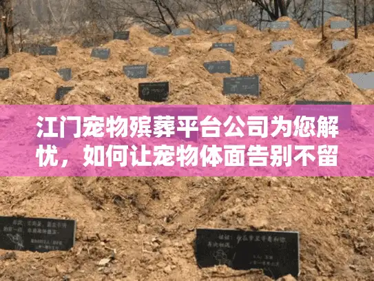江门宠物殡葬平台公司为您解忧，如何让宠物体面告别不留遗憾？