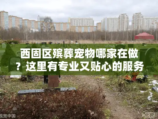 西固区殡葬宠物哪家在做？这里有专业又贴心的服务选择