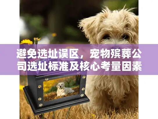 避免选址误区，宠物殡葬公司选址标准及核心考量因素指南