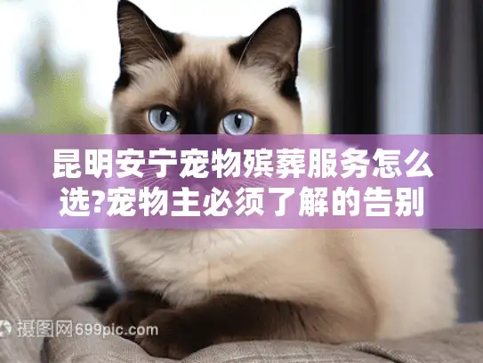 昆明安宁宠物殡葬服务怎么选?宠物主必须了解的告别指南