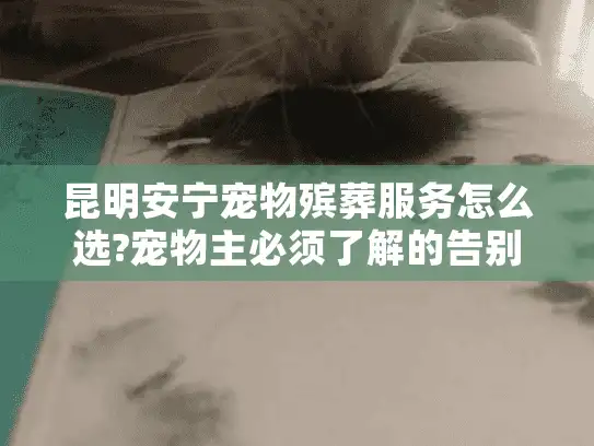 昆明安宁宠物殡葬服务怎么选?宠物主必须了解的告别指南