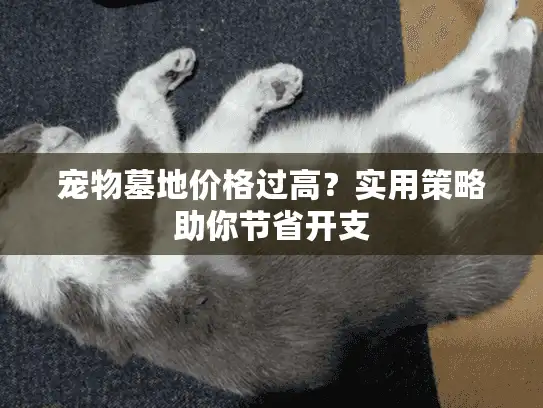 宠物墓地价格过高？实用策略助你节省开支