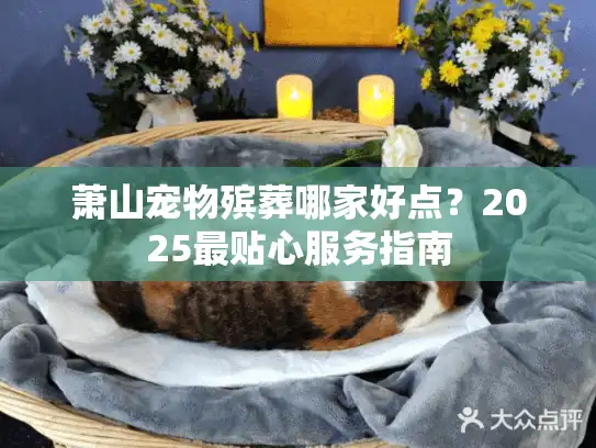 萧山宠物殡葬哪家好点？2025最贴心服务指南