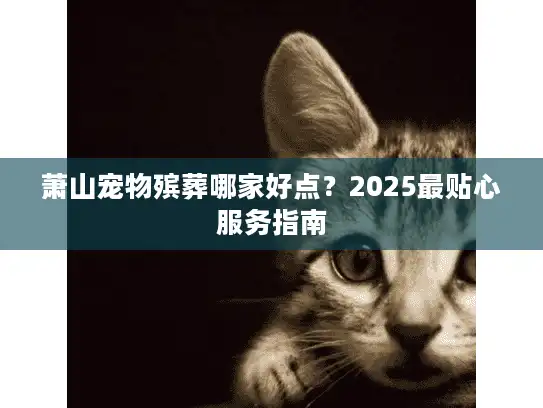 萧山宠物殡葬哪家好点？2025最贴心服务指南