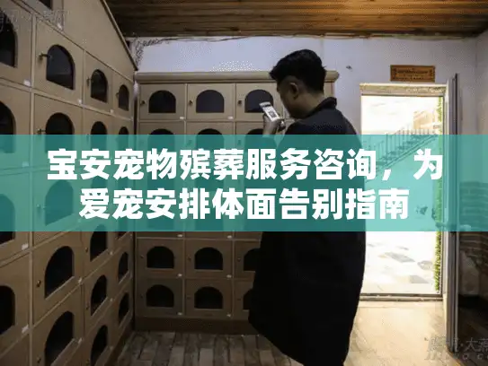 宝安宠物殡葬服务咨询，为爱宠安排体面告别指南