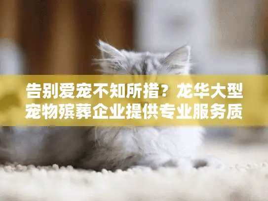 告别爱宠不知所措？龙华大型宠物殡葬企业提供专业服务质量保障