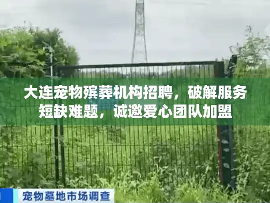 大连宠物殡葬机构招聘，破解服务短缺难题，诚邀爱心团队加盟