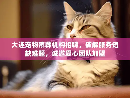 大连宠物殡葬机构招聘，破解服务短缺难题，诚邀爱心团队加盟