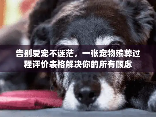 告别爱宠不迷茫，一张宠物殡葬过程评价表格解决你的所有顾虑