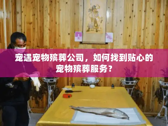 宠遇宠物殡葬公司，如何找到贴心的宠物殡葬服务？