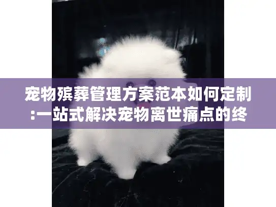 宠物殡葬管理方案范本如何定制:一站式解决宠物离世痛点的终极指南